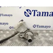 Bomba Freno para Renault Kangoo