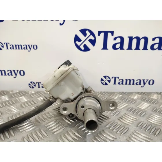 Bomba Freno para Renault Kangoo
