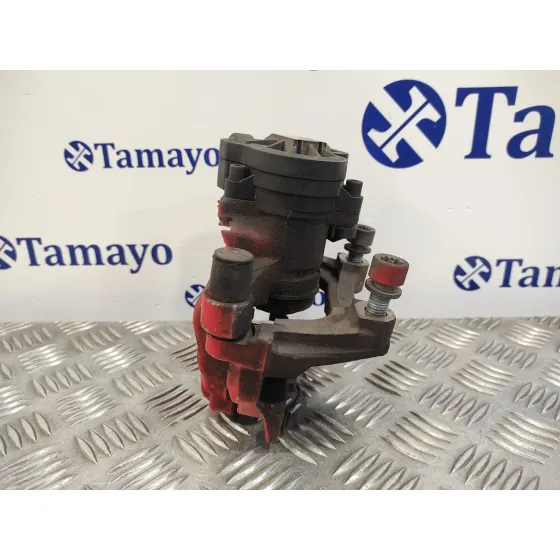 Pinza Freno Trasera Derecha para Seat Leon (5F1)