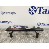 Rampa Inyectora para Citroën C8
