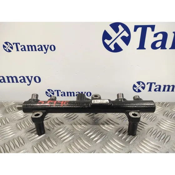 Rampa Inyectora para Citroën C8