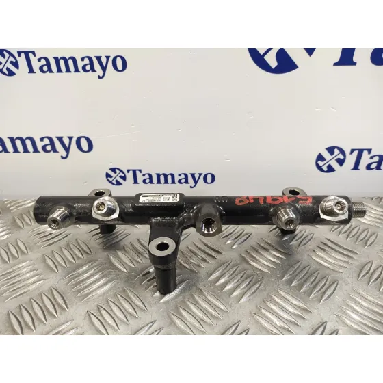 Rampa Inyectora para Citroën C8