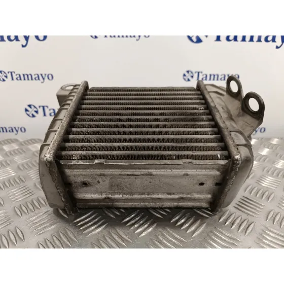 Intercooler para Audi Tt (8N3/8N9)