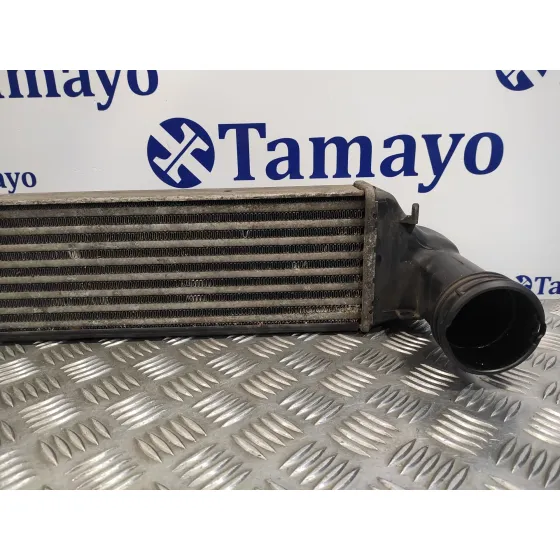 Intercooler para Bmw Serie 3 Berlina (E46)