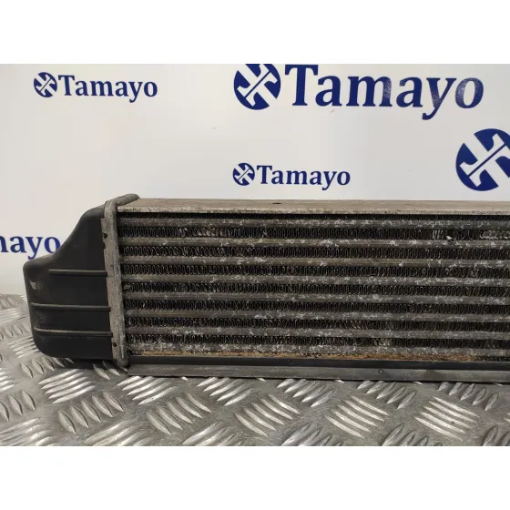 Intercooler para Bmw Serie 3 Berlina (E46)