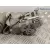 Cinturon Seguridad Delantero Derecho para Alfa Romeo Gt (125)