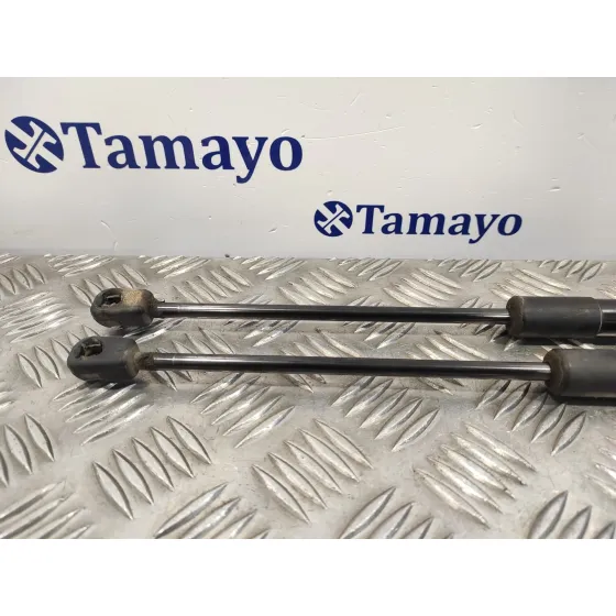 Amortiguadores Maletero / Porton para Volkswagen Passat Variant (365)