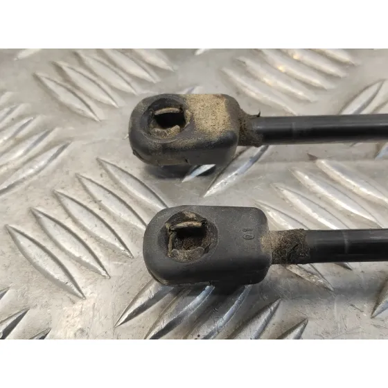 Amortiguadores Maletero / Porton para Volkswagen Passat Variant (365)