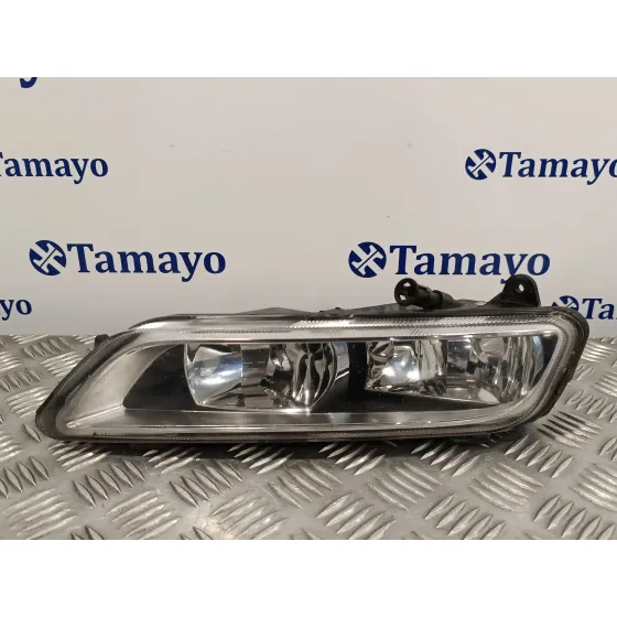 Faro Antiniebla Izquierdo para Volkswagen Passat Variant (365)