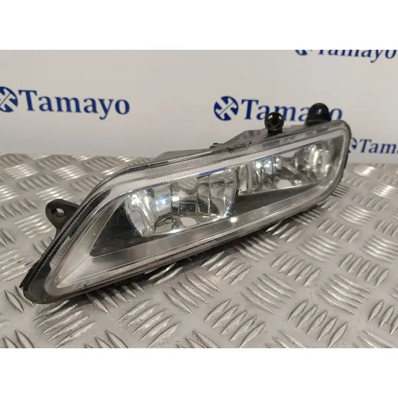 Faro Antiniebla Izquierdo para Volkswagen Passat Variant (365)