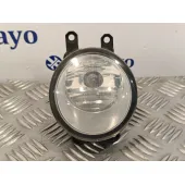 Faro Antiniebla Derecho para Toyota Rav 4 (A3)