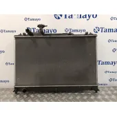 Radiador Agua para Mazda Cx-7 (Er)