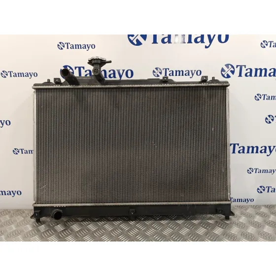 Radiador Agua para Mazda Cx-7 (Er)