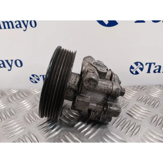 Bomba Direccion para Hyundai Santa Fe (Sm)