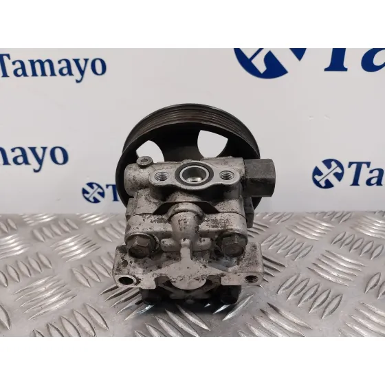 Bomba Direccion para Hyundai Santa Fe (Sm)