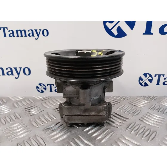 Bomba Direccion para Hyundai Santa Fe (Sm)