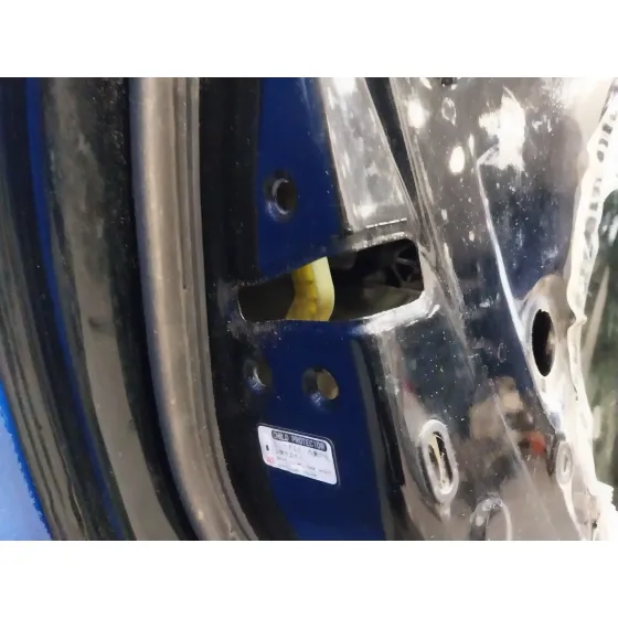 Puerta Trasera Izquierda para Toyota Rav 4 (A3)