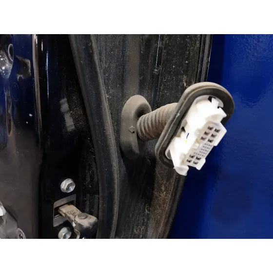Puerta Trasera Izquierda para Toyota Rav 4 (A3)