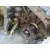 Caja Transfer para Nissan Terrano/Terrano.ii (R20)
