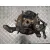 Mangueta Trasera Izquierda para Ford Kuga (Cbs)