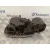 Tapa Exterior Combustible para Renault Grand Modus