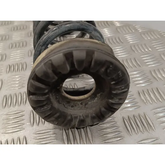 Muelle Amortiguacion para Ford Kuga (Cbs)