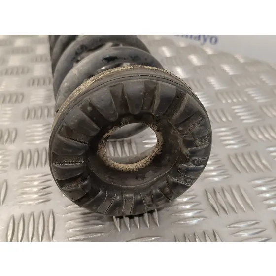 Muelle Amortiguacion para Ford Kuga (Cbs)