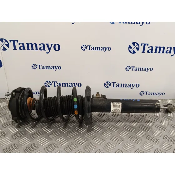 Amortiguador Delantero Izquierdo para Volkswagen Passat Variant (365)