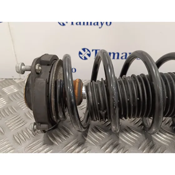 Amortiguador Delantero Izquierdo para Volkswagen Passat Variant (365)