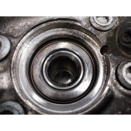 Mangueta Delantera Izquierda para Volkswagen Passat Variant (365)