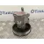 Bomba Servodireccion para Audi A3 (8L)