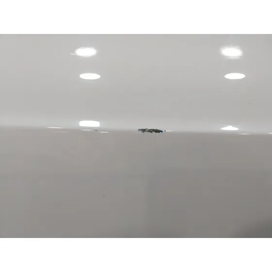 Puerta Delantera Izquierda para Audi A5 Coupe (8T)