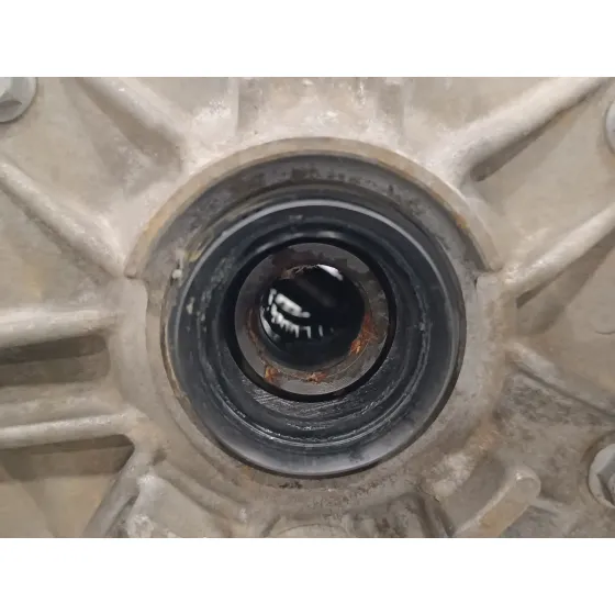 Diferencial Trasero para Toyota Rav 4 (A3)