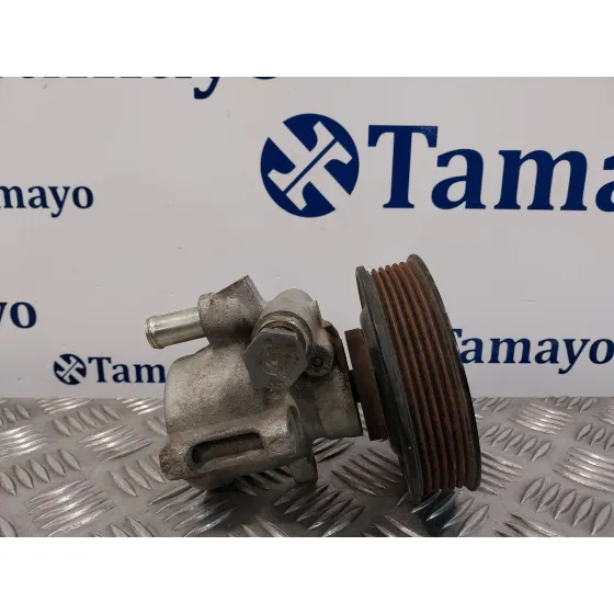 Bomba Servodireccion para Seat Ibiza (6K1)