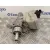 Bomba Freno para Seat Toledo (5P2)