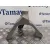 Soporte Motor para Audi A5 Coupe (8T)