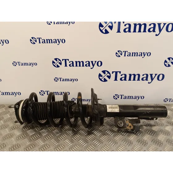 Amortiguador Delantero Izquierdo para Ford Transit Furgon (Tts)