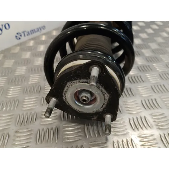 Amortiguador Delantero Izquierdo para Ford Transit Furgon (Tts)