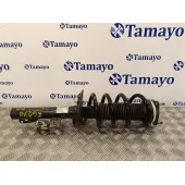 Amortiguador Delantero Derecho para Ford Transit Furgon (Tts)
