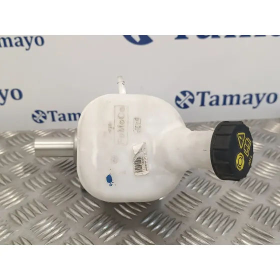 Bomba Freno para Ford Transit Furgon (Tts)
