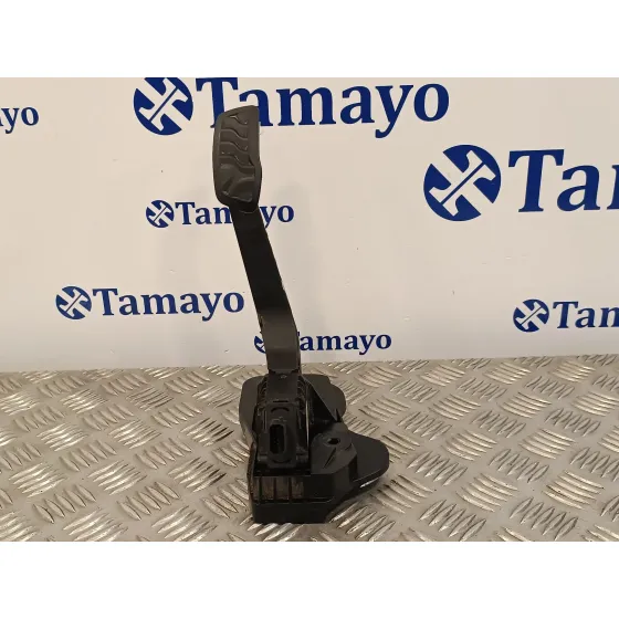 Pedal Acelerador para Ford Transit Furgon (Tts)