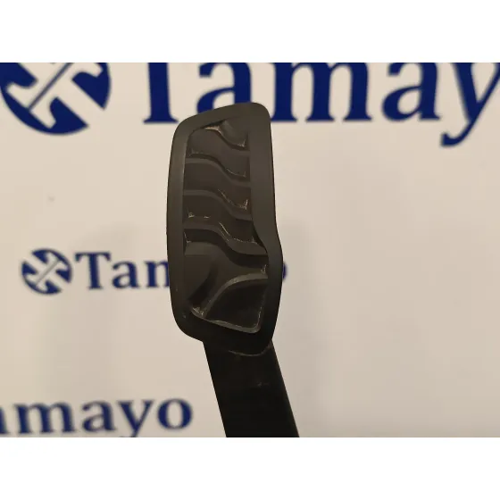 Pedal Acelerador para Ford Transit Furgon (Tts)