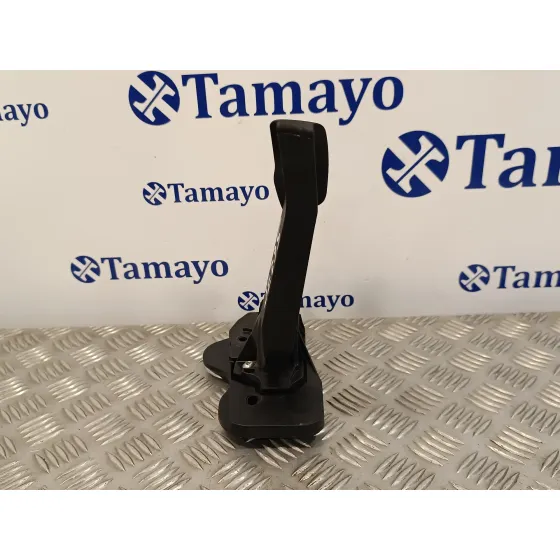 Pedal Acelerador para Ford Transit Furgon (Tts)