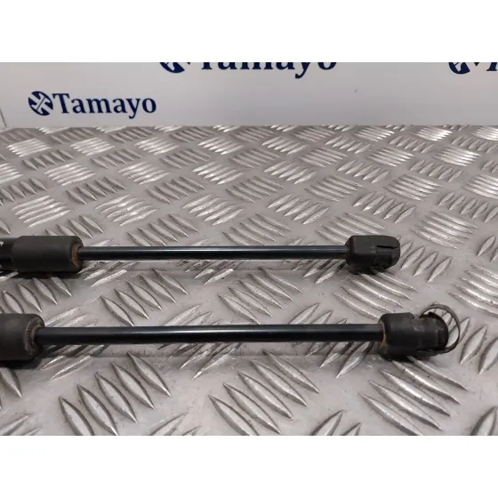 Amortiguadores Capo para Land Rover Range Rover (Lp)