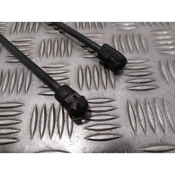 Amortiguadores Capo para Land Rover Range Rover (Lp)