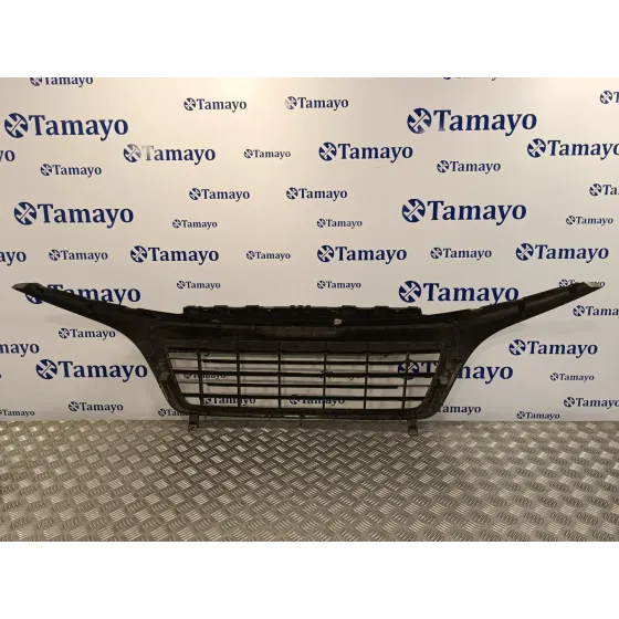 Rejilla Delantera para Peugeot Boxer Furgon