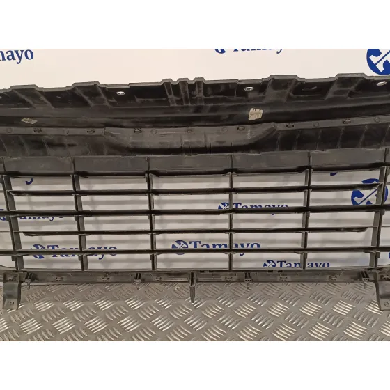Rejilla Delantera para Peugeot Boxer Furgon