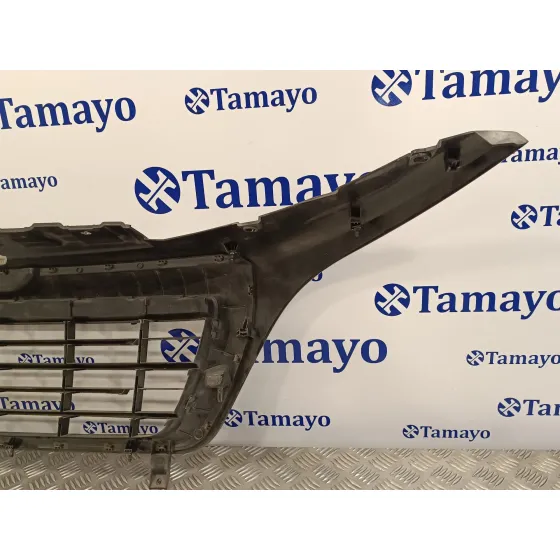 Rejilla Delantera para Peugeot Boxer Furgon