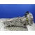 Caja Cambios para Subaru Legacy Berl. B13 (Bl)