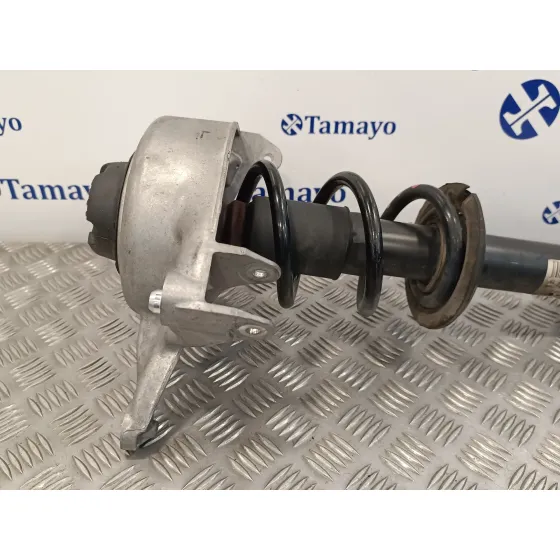 Amortiguador Delantero Izquierdo para Audi A5 Coupe (8T)